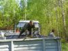Nazwa pliku=100_0336.JPG
Wielkość pliku=575KiB
Rozmiar=800x600
Data dodania= 02, Maj 2011 100_0336.JPG